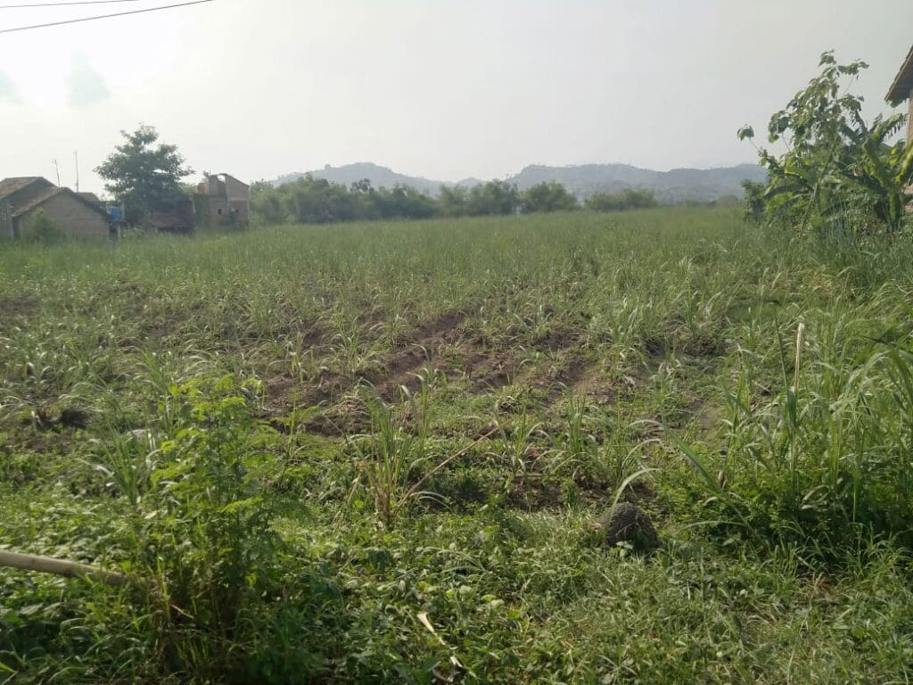 Dijual Tanah Investasi Jl Raya Kudus – Pati