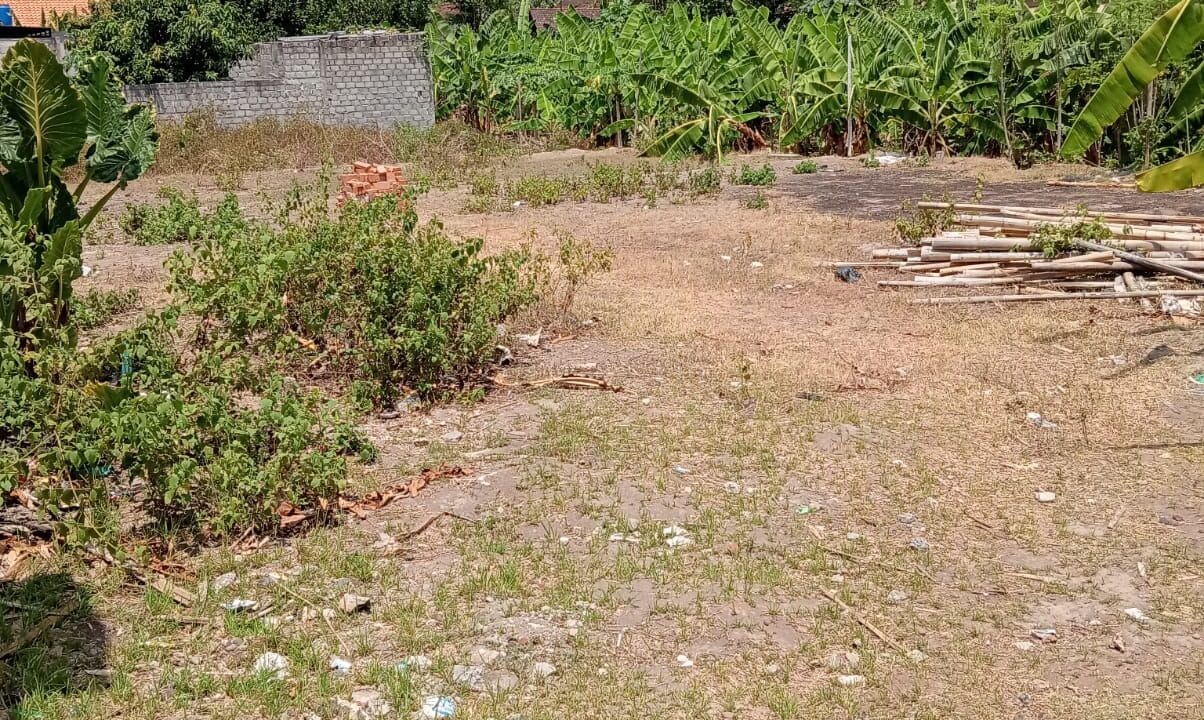 WhatsApp Image 2025-04-10 at 5.38.18 PM (1)