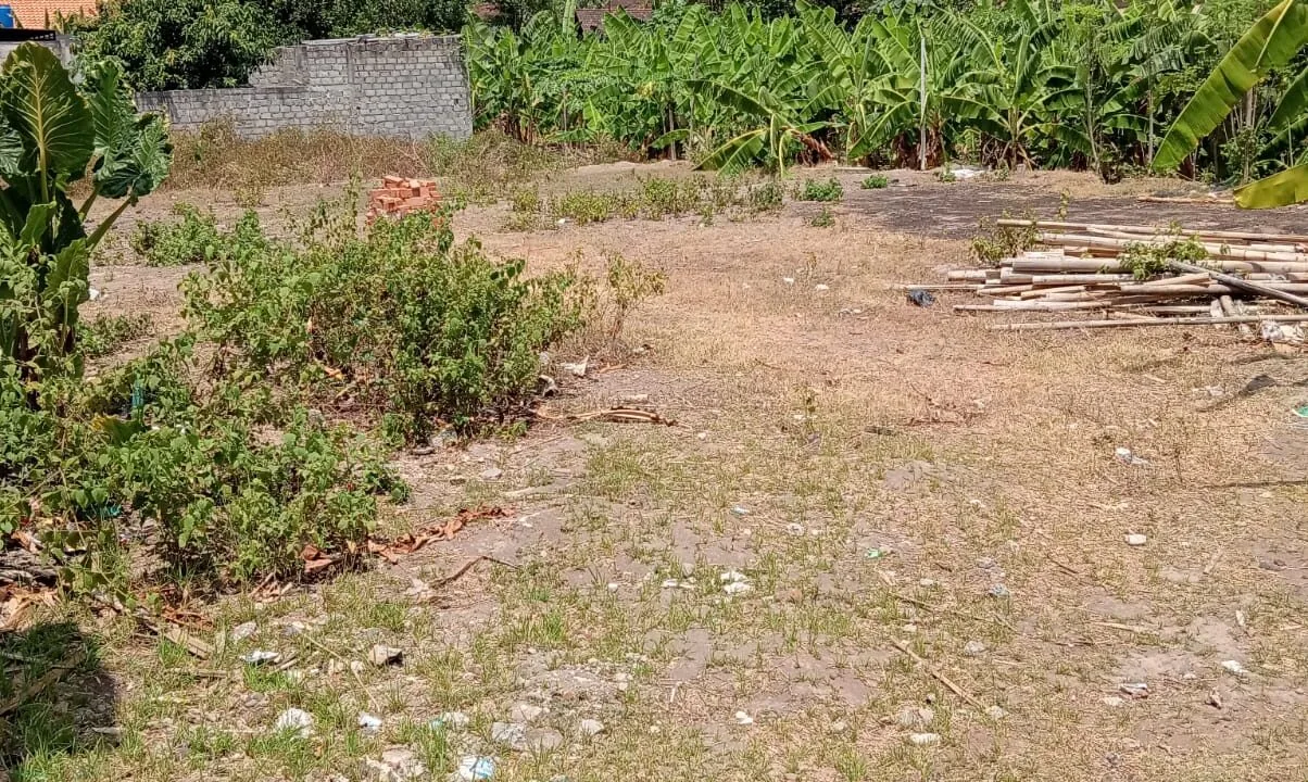 WhatsApp Image 2025-04-10 at 5.38.18 PM (1)