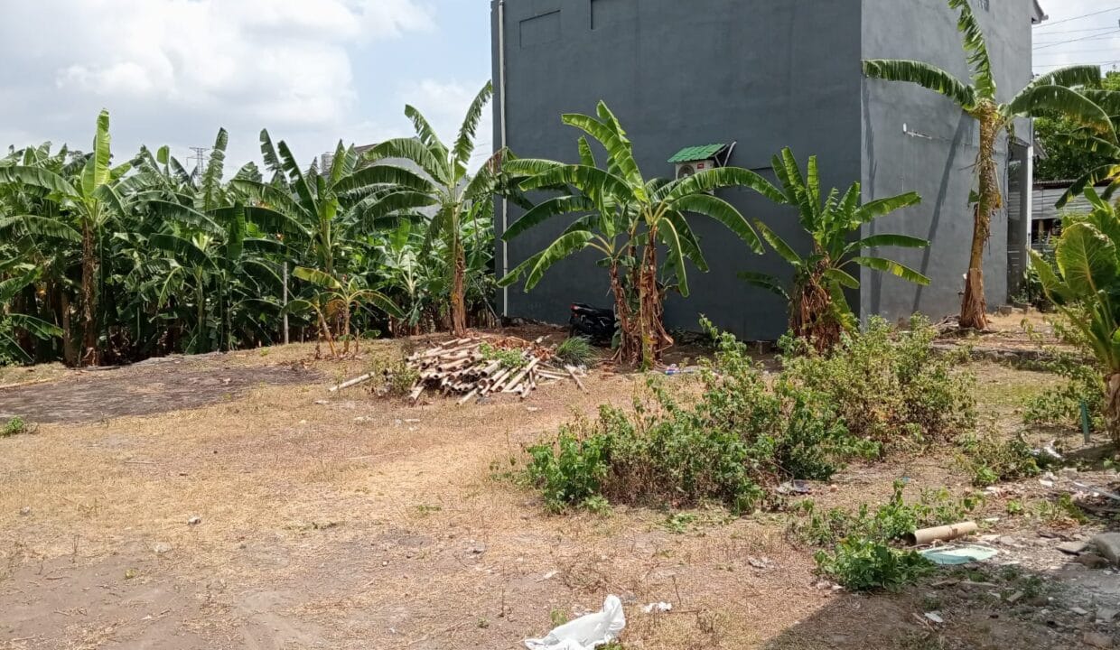 WhatsApp Image 2025-04-10 at 5.38.18 PM